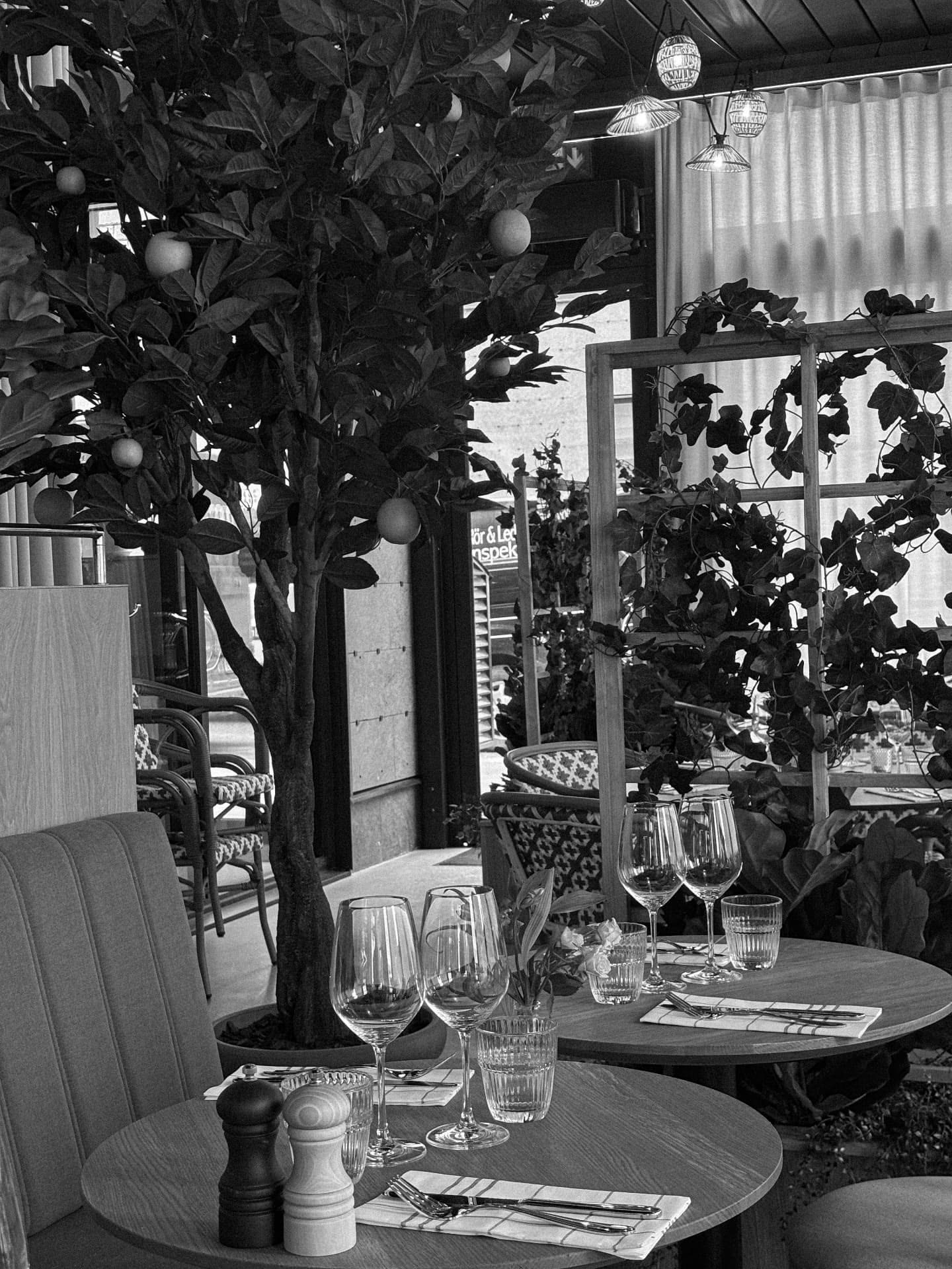 Inredning med citrusträd i Bistro Nykvarns matsal